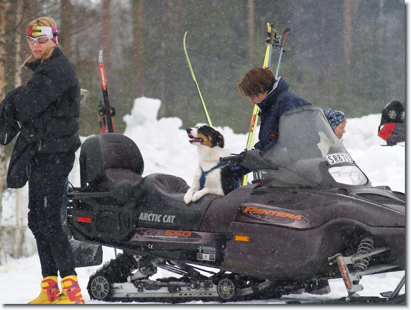 Nästa bild